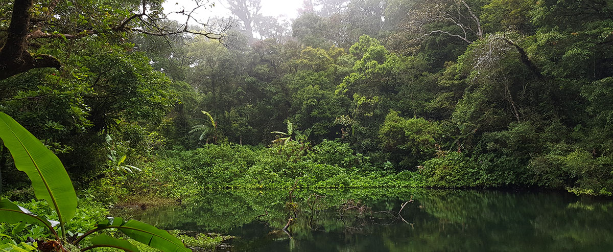 Gunung Gede Park, Java