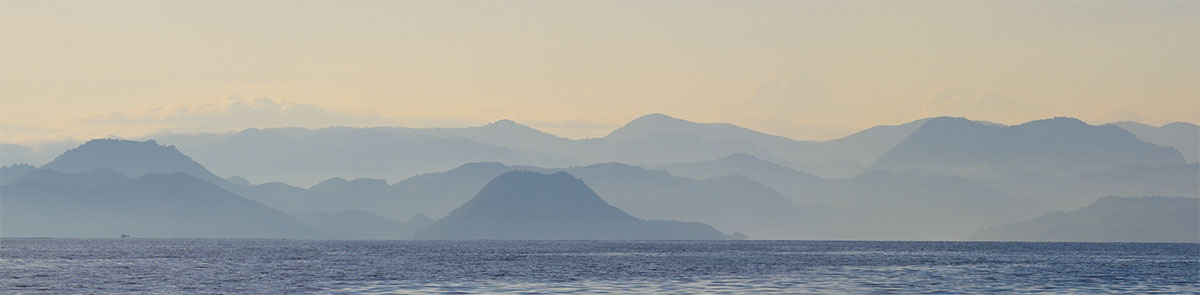 Waigeo Island forest