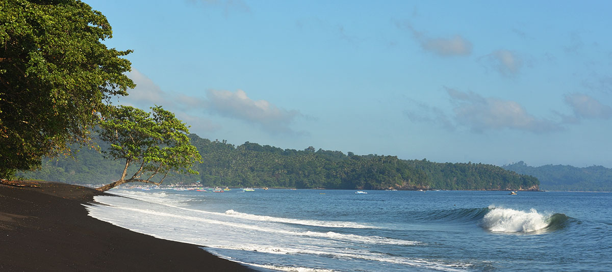 Tangkoko National Park, Sulawesi