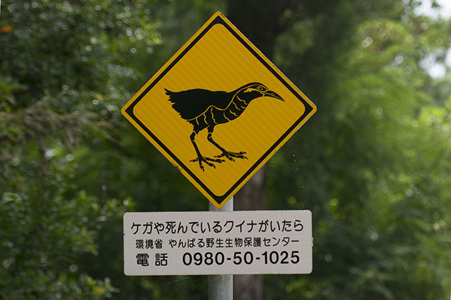 Okinawa Rail warning sign Okinawa Rail warning sign, Okinawa, Japan