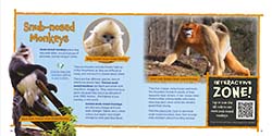 SN Monkey thumbnail of Wildlife of the World - China by Hugh Lansdown