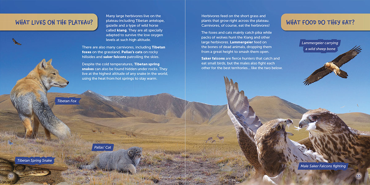 Tibetan Plateau page of Wildlife of the World - China by Hugh Lansdown