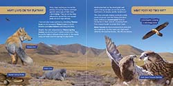 Tibetan Plateau thumbnail of Wildlife of the World - China by Hugh Lansdown