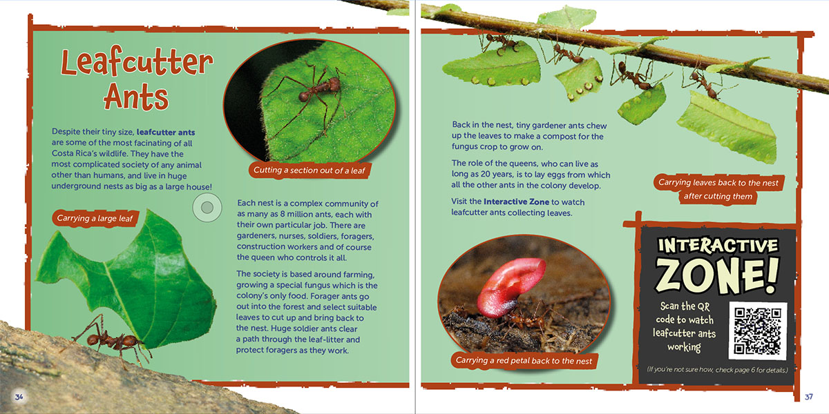 Leafcutter Ants page of Wildlife of the World - Costa Rica by Hugh Lansdown