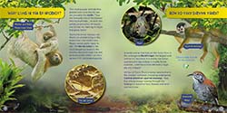 Rainforest thumbnail of Wildlife of the World - Costa Rica by Hugh Lansdown
