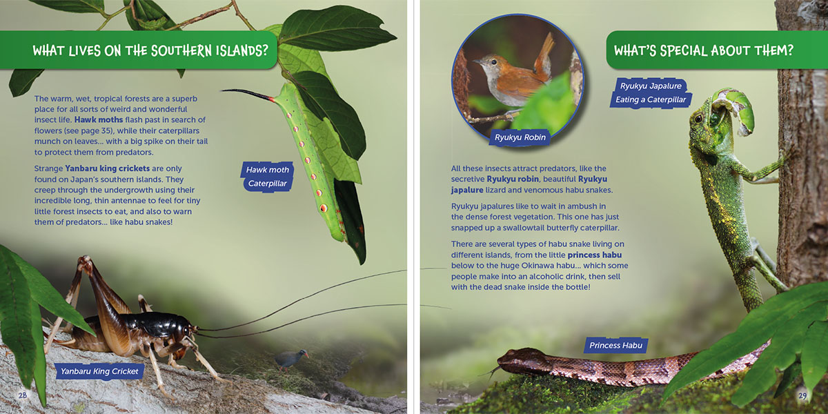 Southern Islands page of Wildlife of the World: Japan by Hugh Lansdown