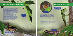 Southern Islands thumbnail of Wildlife of the World: Japan by Hugh Lansdown