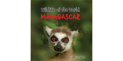 Front Cover thumbnail of Wildlife of the World - Madagascar by Hugh Lansdown