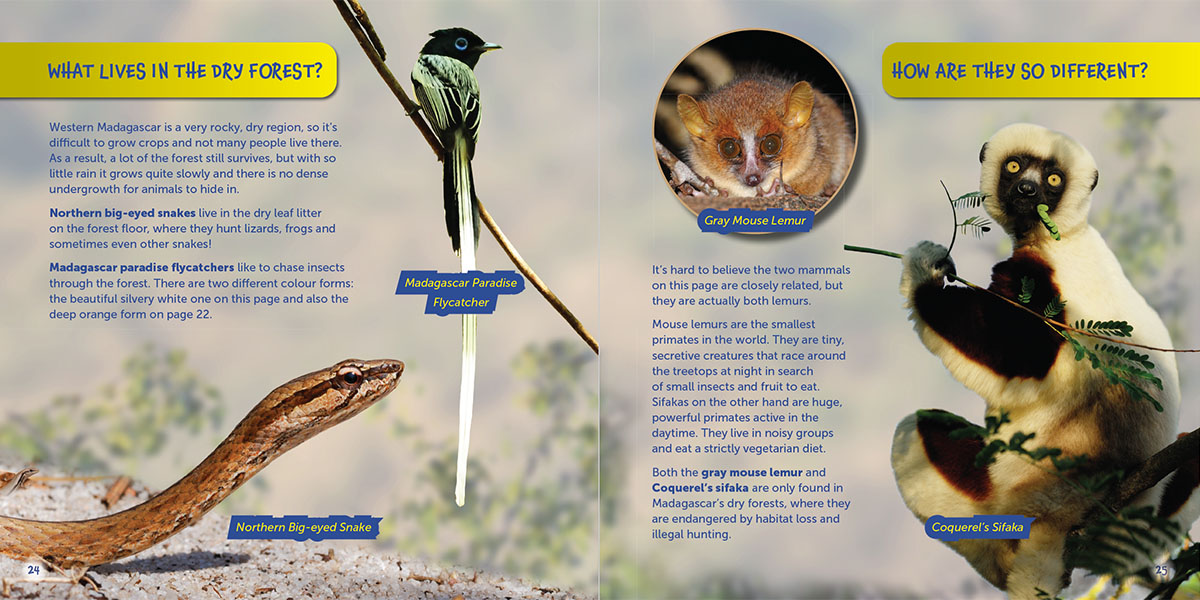 Dry Forest page of Wildlife of the World - Madagascar by Hugh Lansdown