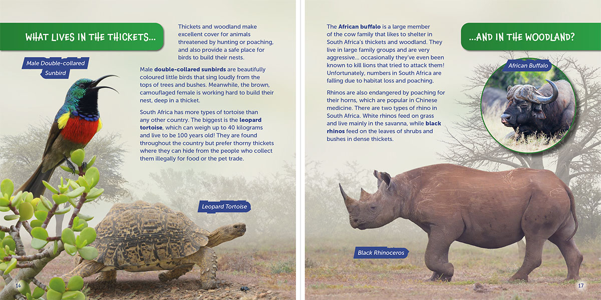Thicket and woodland page of Wildlife of the World - South Africa by Hugh Lansdown